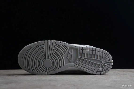 NNike Two Low DJ6188-001 Dunk Tone Grey 0319